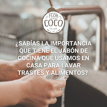 Jabón para Trastes ORGÁNICO en Barra