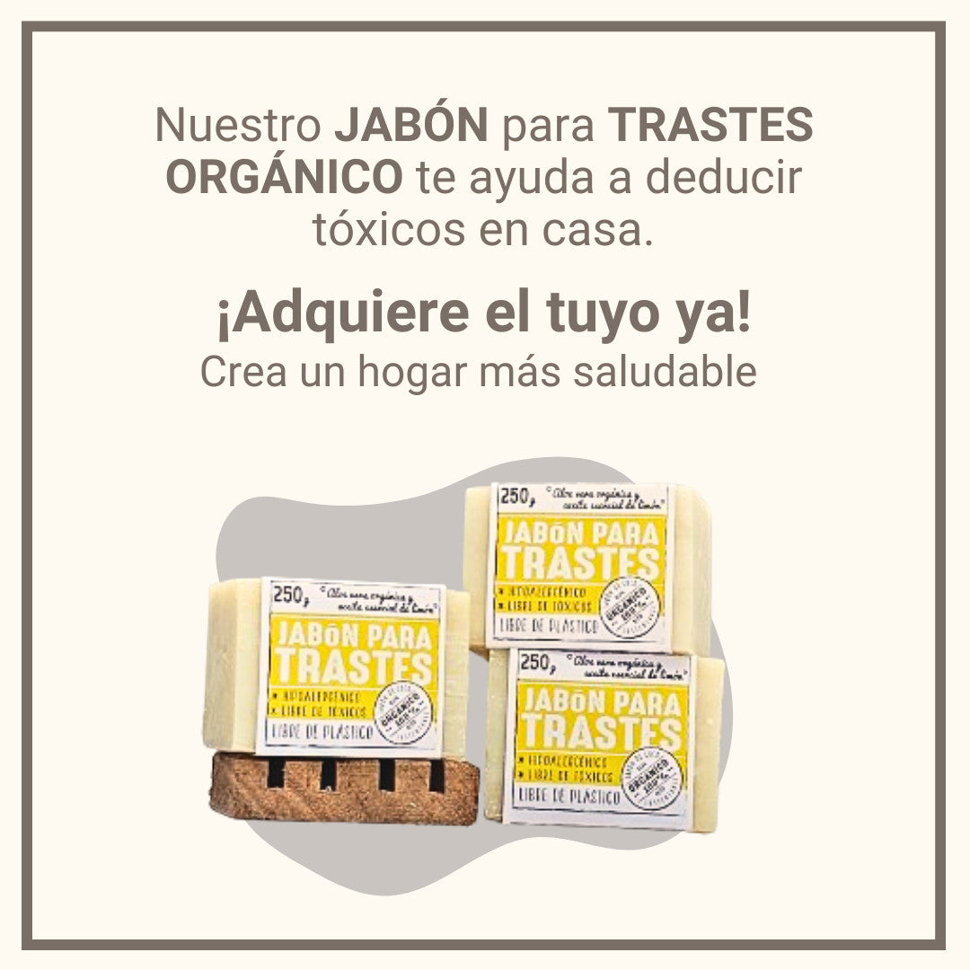Kit 3 JABONES ORGÁNICOS para TRASTES + JABONERA y ESCOBETA