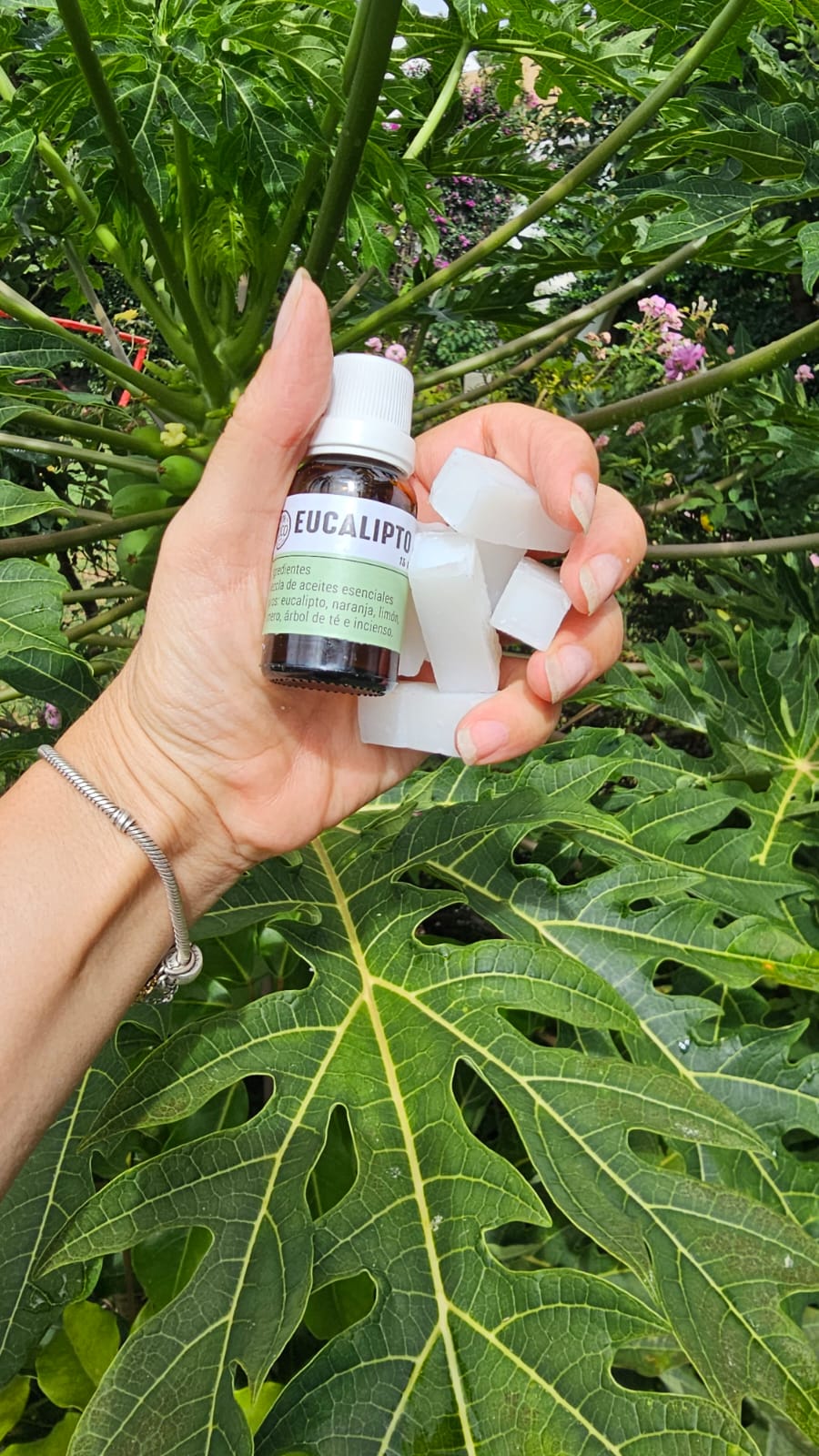 Recarga Eucalipto para Limpiadores — 8 pastillas + aceite esencial