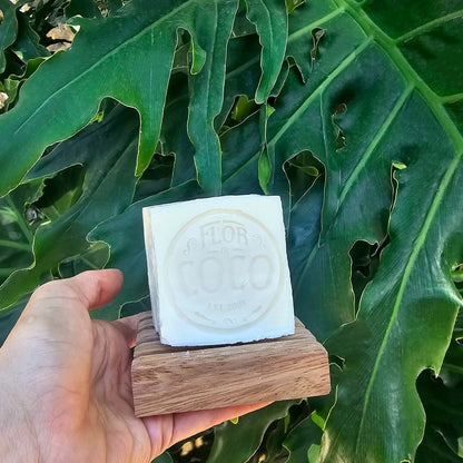 Kit 3 JABONES ORGÁNICOS para TRASTES + JABONERA y ESCOBETA